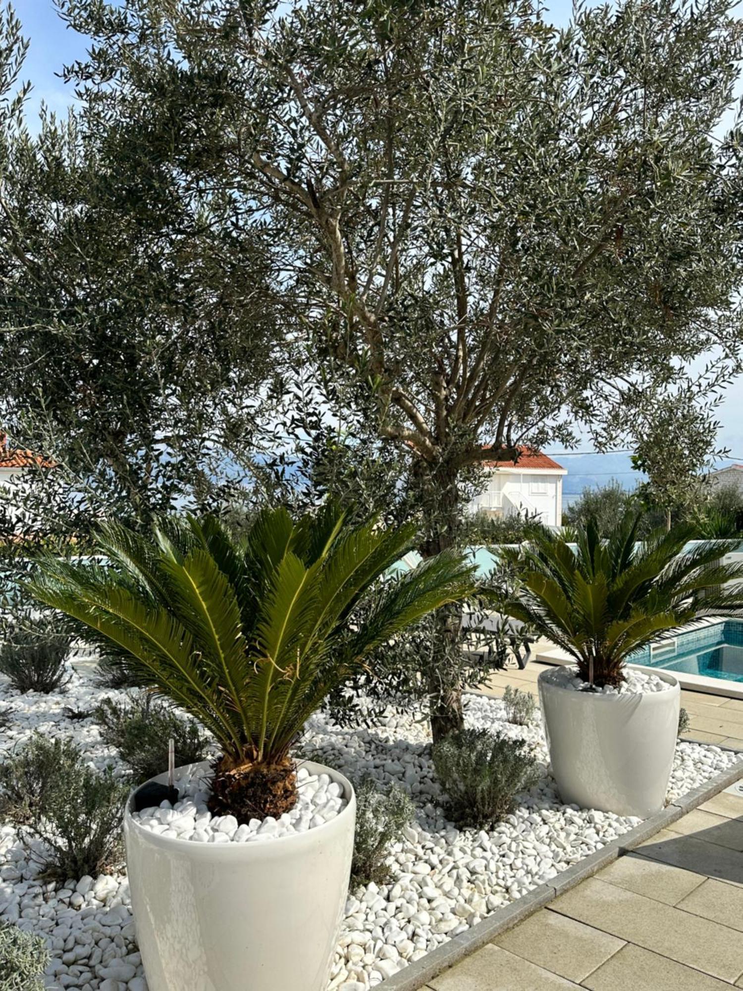 Apartments Marina Trogir Ngoại thất bức ảnh