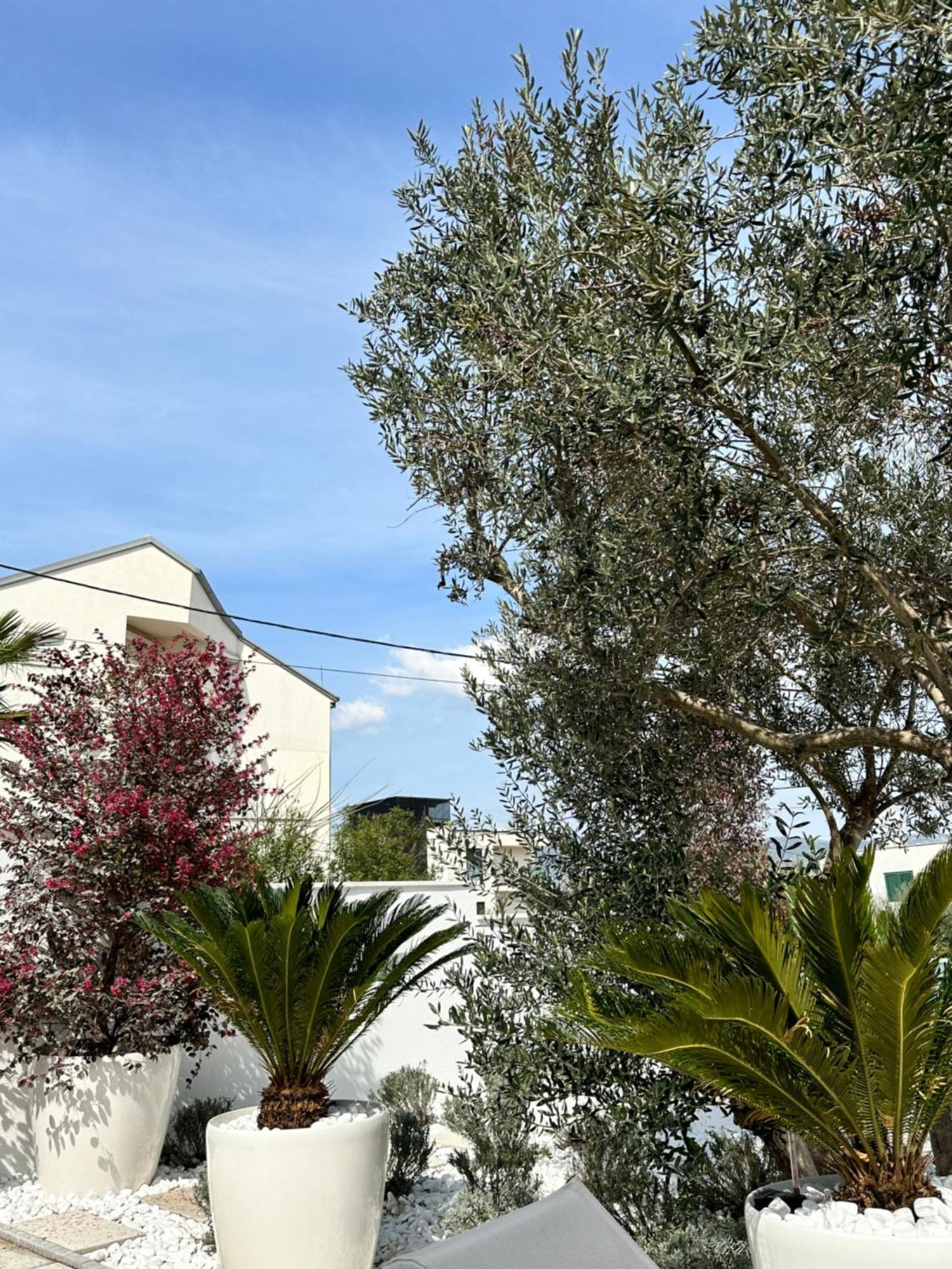 Apartments Marina Trogir Ngoại thất bức ảnh